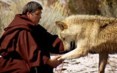 REFLECTIONS.   Extracts from DAILY THOUGHTS December