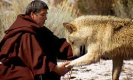 LOVE CAME DOWN AT CHRISTMASTIME. dAY 19.  sT FRANCIS AND THE WOLF