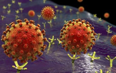 the dynamics of pandemics AND THE ROLE OF FAITH