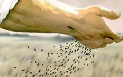 EFFICIENT FARMING AN ECOLOGICAL NECESSITY
