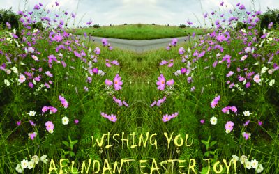 REFLECTIONS.   eXTRACTS FROM aPRIL daily thoughts