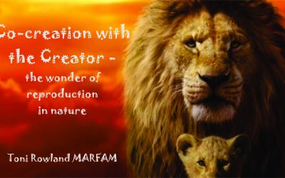 CO-CREATION WITH THE CREATOR – the wonders of reproduction in nature