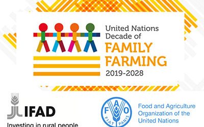FAMILY AND FARMING. MARRIAGE AND THE WORLD OF FAMILIES. WEEK 4 DAY 6.