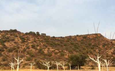 productive LAND IS A GOOD FOR ALL