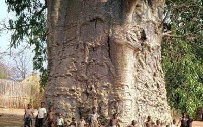 HEALTHY PEOPLE, HEALTHY PLANET or vice versa?