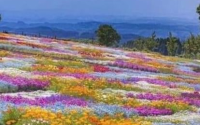 SQUARING UP IN THE NUMBERS GAME.