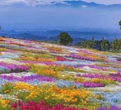 SQUARING UP IN THE NUMBERS GAME.