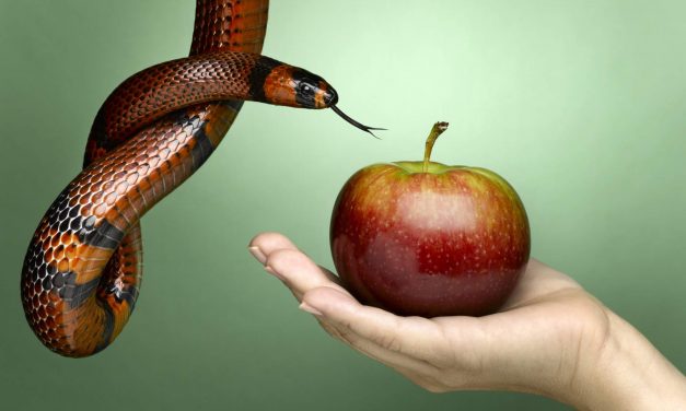 WHY DO WE FALL INTO TEMPATION?