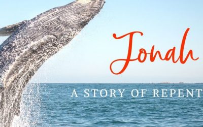 THOUGHT FOR THE DAY.  JONAH’S STORY