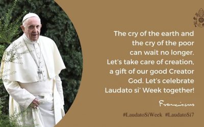 Ascension. Living Laudato Si in our lives.