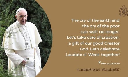 Ascension. Living Laudato Si in our lives.