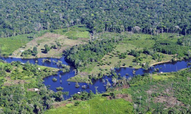 LAUDATO SI WEEK 22-29 MAY MONDAY