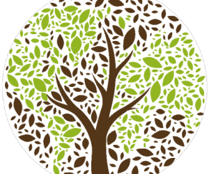 ECO-UBUNTU AND ECUMENISM