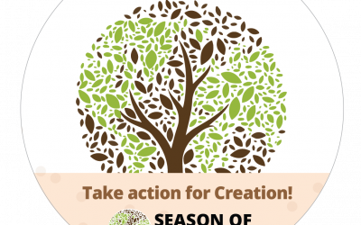 PANGOLINS, BIODIVERSITY AND THE FAMILY OF FAMILIES