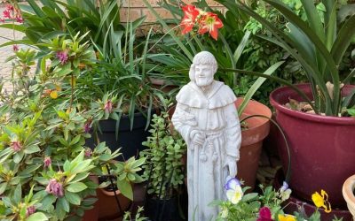 SEASON OF CREATION SEPTEMBER 16