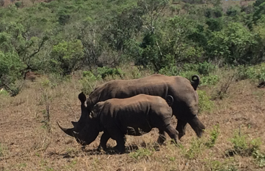 SEASON OF CREATION. SEPTEMBER 9