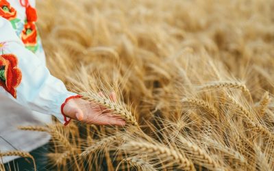 SEASON OF CREATION. SEPTEMBER 3