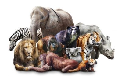 LOOKING FOR THE BRIGHT SIDE