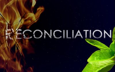 ADVENT.  DAY OF RECONCILIATION SA