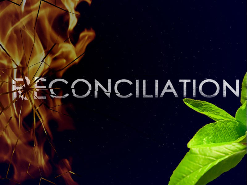 ADVENT.  DAY OF RECONCILIATION SA