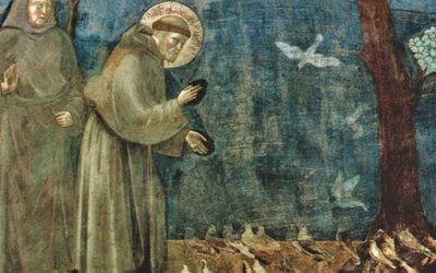 ADVENT. ST FRANCIS AND THE BIRDS