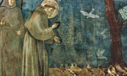 ADVENT. ST FRANCIS AND THE BIRDS