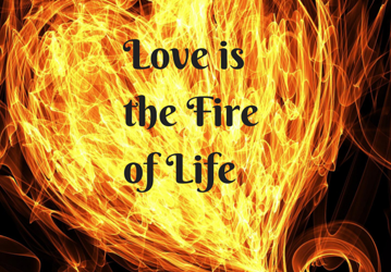 REFLECTIONS ON LOOKING BACK AT POPE EMERITUS BENEDICT XVI.    Toni Rowland