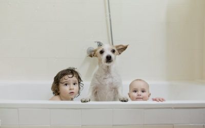 A GOOD BEGINNING – WHEREVER YOU ARE.