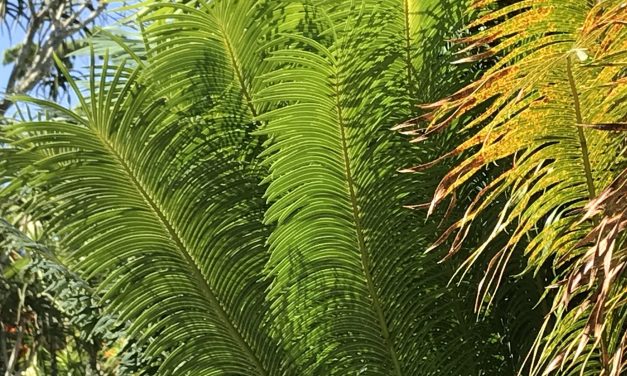 2023 APRIL DAILY THOUGHTS