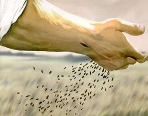 THE GOSPEL OF THE FAMILY NOURISHES SEEDS WAITING TO GROW