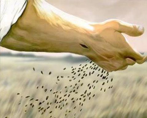 THE GOSPEL OF THE FAMILY NOURISHES SEEDS WAITING TO GROW