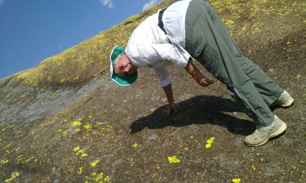 FINDING ONE’S BALANCE