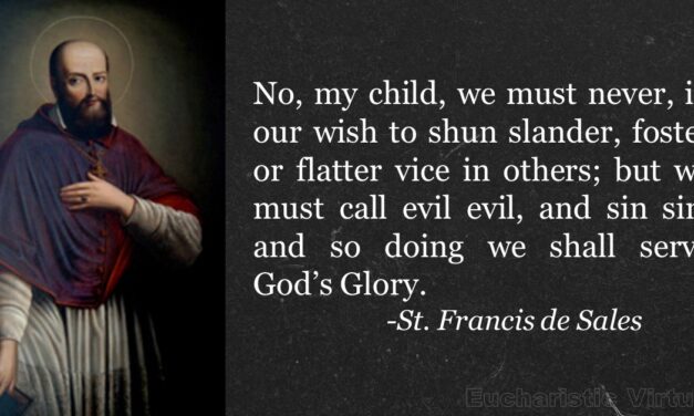 FIT TO GO or WAY TO GO?