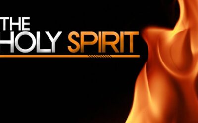 PENTECOST. Christian unity Day 8.  Lord, may our fellowship be a sign of your Kingdom