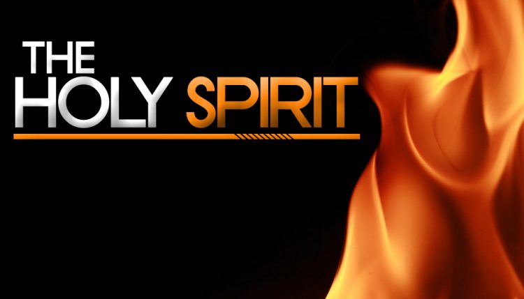 PENTECOST. Christian unity Day 8.  Lord, may our fellowship be a sign of your Kingdom