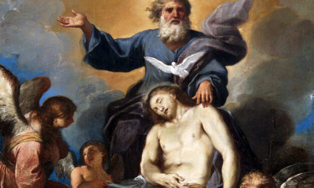 TRINITY SUNDAY.  CLOSE OF LAUDATO SI WEEK