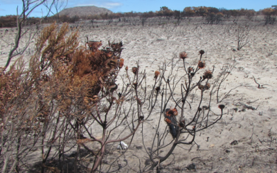 FAMILIES ON MISSION. A DOOMSDAY WARNING