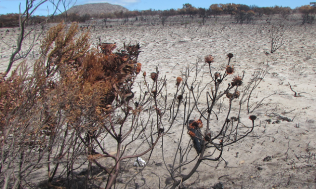 FAMILIES ON MISSION. A DOOMSDAY WARNING