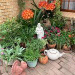 EASTER MONDAY. YEAR OF ST FRANCIS. FAMILY DAY