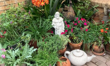 EASTER MONDAY. YEAR OF ST FRANCIS. FAMILY DAY