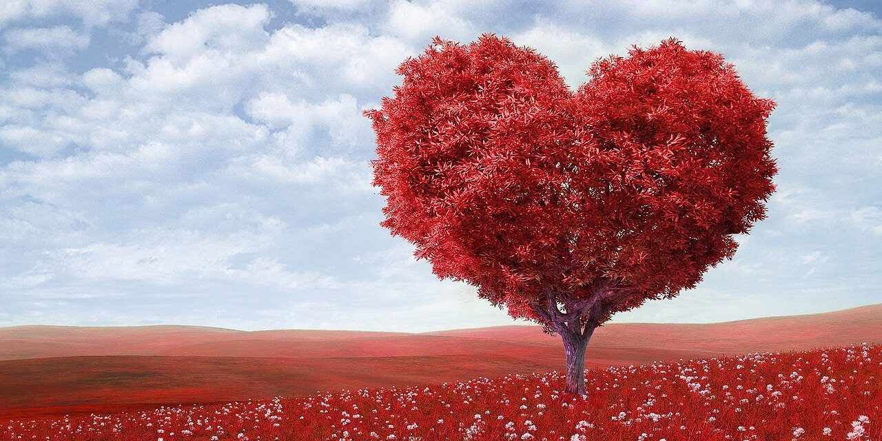 LENT. YEAR OF ST FRANCIS. LOVE GIVES FAMILIES LIFE