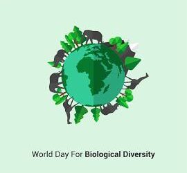 BIODIVERSITY DAY 2025 IN OUR WORLD A FAMILY OF FAMILIES