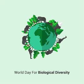 BIODIVERSITY DAY 2025 IN OUR WORLD A FAMILY OF FAMILIES