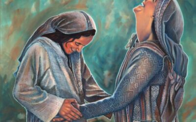 JUBILEE. LAUDATO SI WEEK. OUR LADY VISITATION