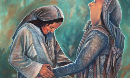 JUBILEE. LAUDATO SI WEEK. OUR LADY VISITATION