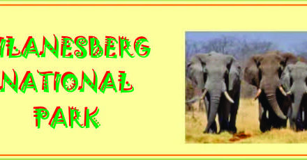 SEASON OF CREATION 2023. PILANESBERG.