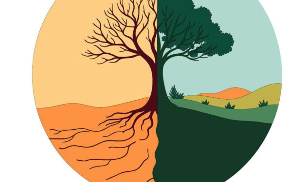 SEPTEMBER 1.  THE ECUMENICAL SEASON OF CREATION 1 SEPTEMBER – 4 OCTOBER 2024