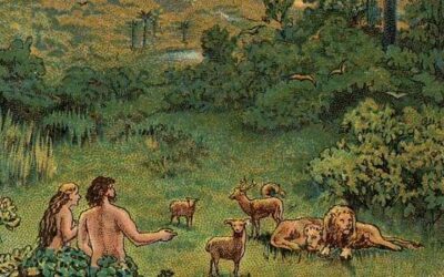 JUBILEE.  CO-CREATION A FAMILY GIFT