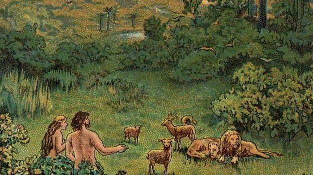 CO-CREATION WITH THE CREATOR.  THE WONDERS OF REPRODUCTION IN NATURE.