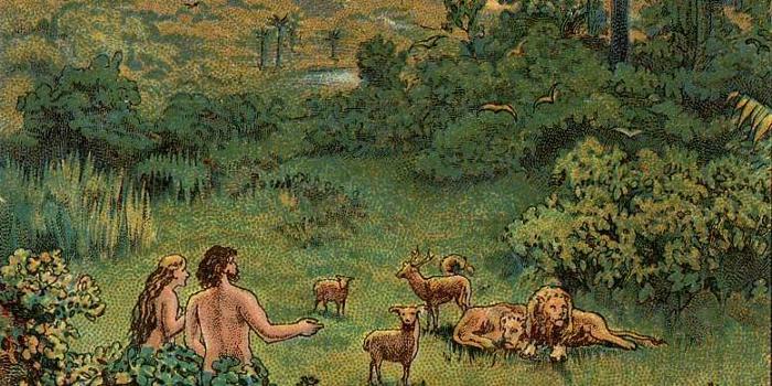 JUBILEE.  CO-CREATION A FAMILY GIFT